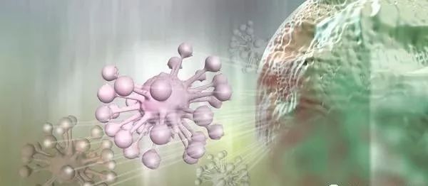癌症的最大克星是西兰花，常吃癌细胞死光光？是科学还是忽悠？