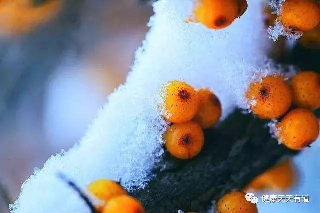 大雪节气最适合吃橘子，润肺止咳、解酒醒神，但1种情况别买