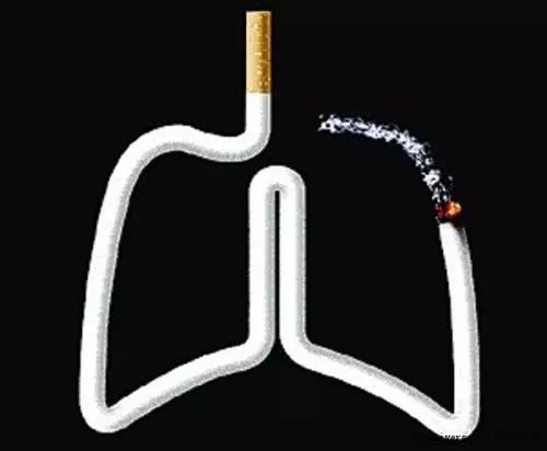 吸烟者，秋养肺，吃“三物”，喝“四茶”，给肺部“洗洗澡”！