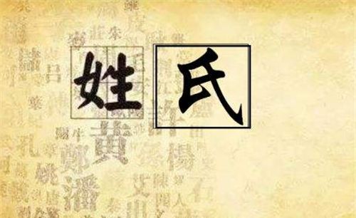 中国历史上尊贵的“五姓七望”，连贵族都没资格高攀，是你的姓吗
