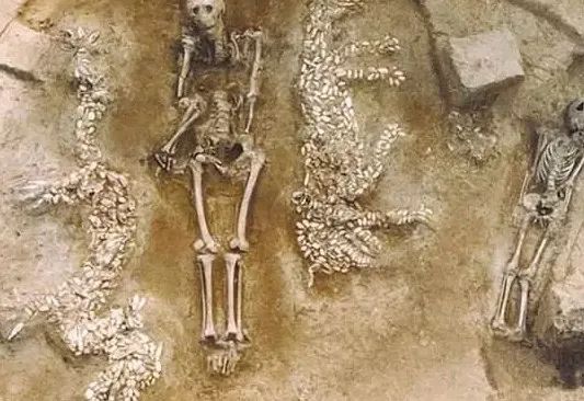 河南发现6000年前古墓，内藏“中华第一龙”，原来古代真有“龙”