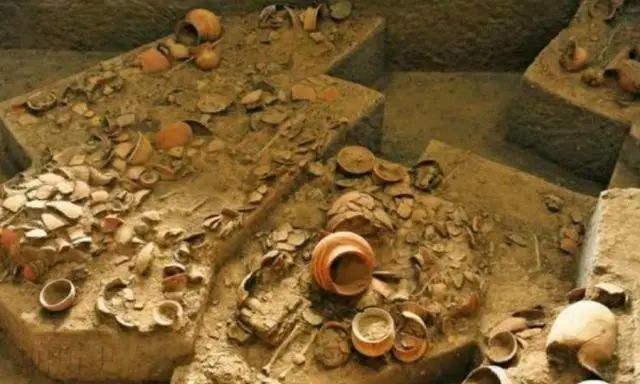 考古队开启古墓，竟发现灭绝50年的“异兽”，专家大悦：佛祖保佑