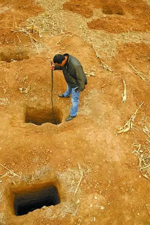 湖北楚墓现5米盗洞，出土一件2000年“镇墓兽”，考古队被震撼了