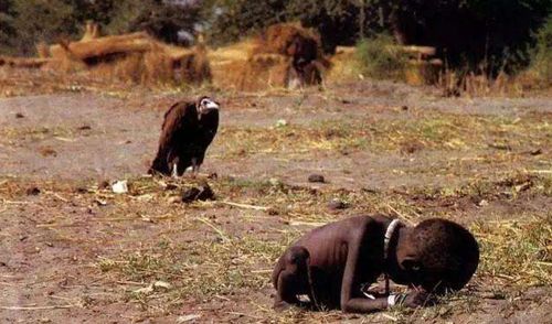这张全世界关注的饥饿照片发表后，摄影师自杀，小女孩结局如何