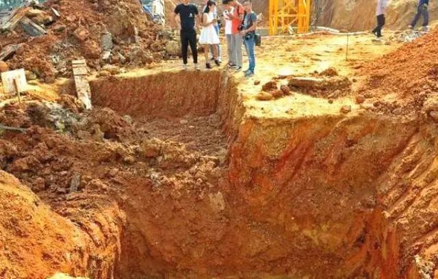 考古队开启古墓，竟发现灭绝50年的“异兽”，专家大悦：佛祖保佑