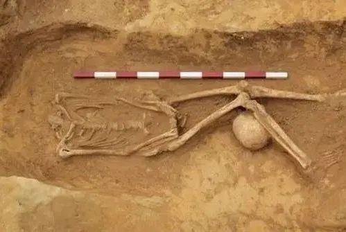 英格兰出土罗马古墓，发现“头颅”放在小腿中间，专家：一种仪式