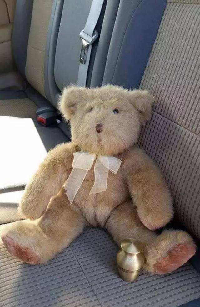 全球仅限一款的泰迪熊，却因太恐怖列为少儿不宜，不敢爱了！
