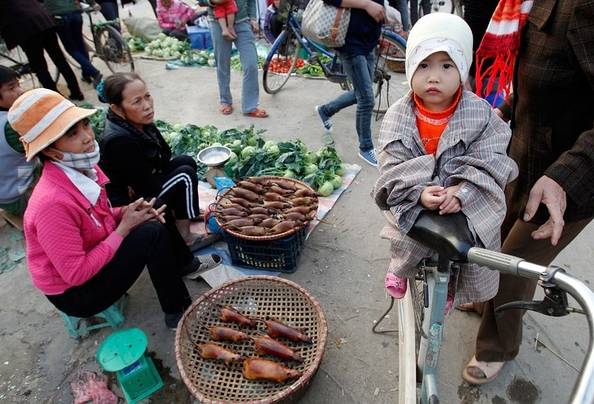 中缅边境最吓人的菜市场，只敢看，不敢买！！！
