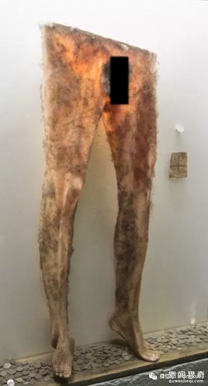 吓哭！冰岛有个超恐怖的博物馆，里面竟有用人皮成的裤子