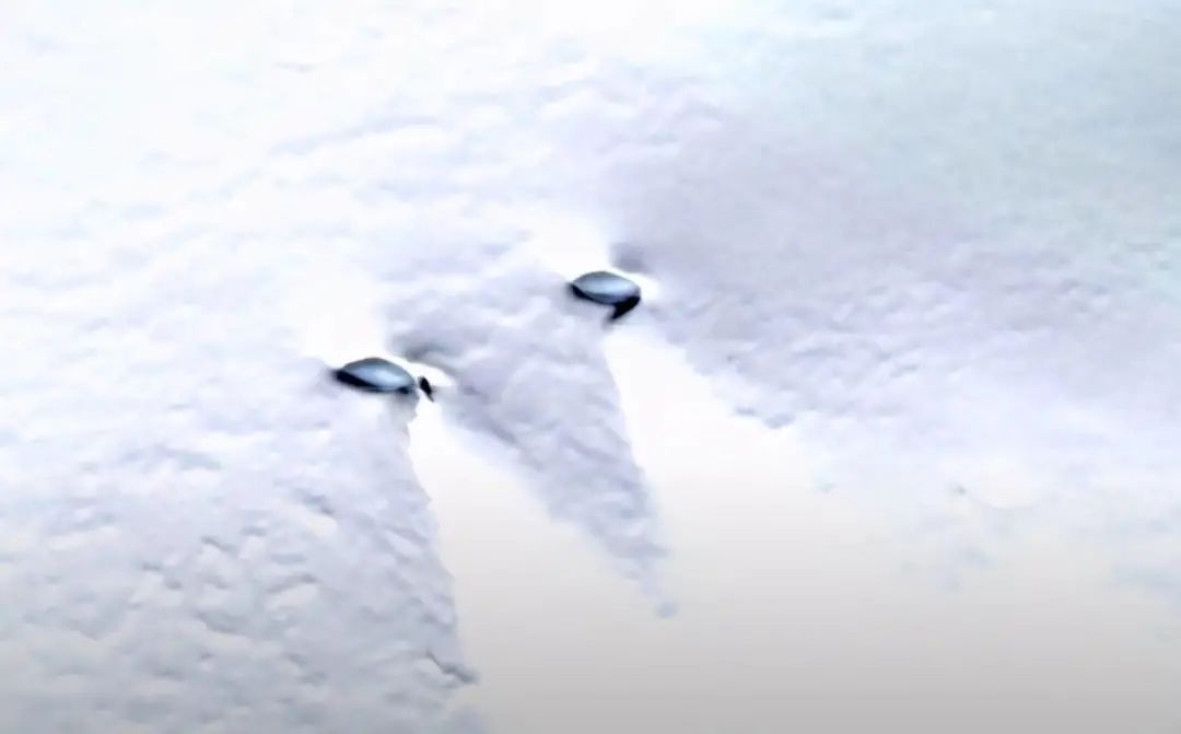 南极雪地上发现2个椭圆形金属不明飞行物？长约30米，是真的吗