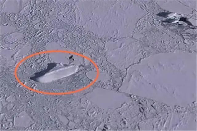 南极发现巨大冰船，烟囱和窗户清晰可见，是外星人留下的吗？
