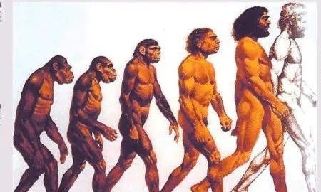百万年后，人类将会进化成什么样？科学家：可能实现意识永生！