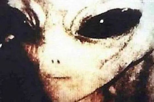 巴西亚马逊外星人事件是怎么回事？UFO真实存在过吗？