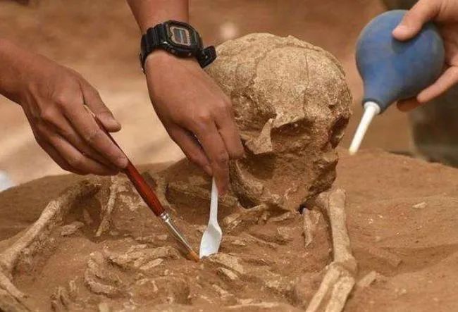 三峡大坝的大发现，7000年前奇特人种现世，只因专家挖出怪物