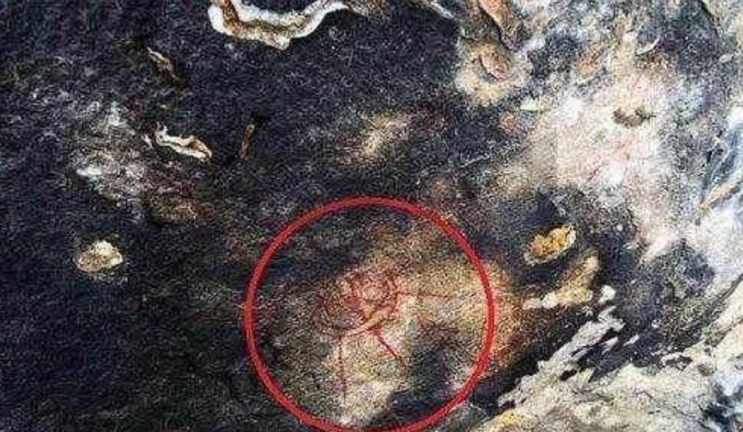 印度曾发现组壁画，飞行器和人物造型怪异，专家：万年前的外星人