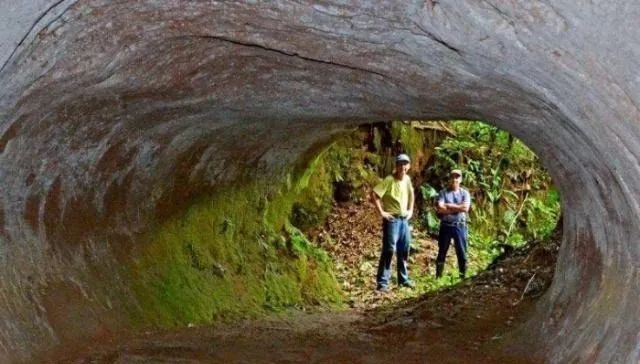 巴西现1.3万年前隧道群，开凿者不是人类，史前文明真的存在？