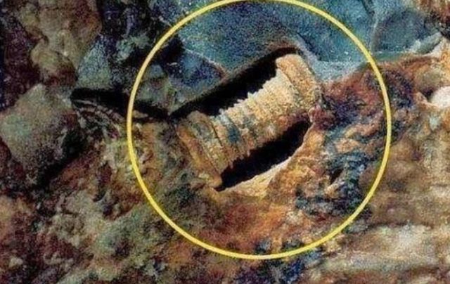 俄罗斯捕鱼人意外发现2.5亿年前“芯片”，地球文明在不断循环？
