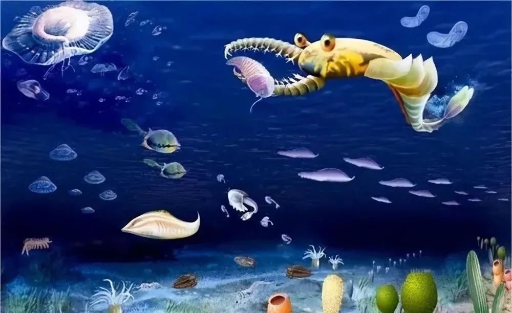 太平洋海底2028米处发现怪异生命，有细长的脖子和大大的眼睛！