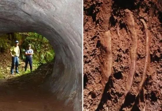 会是外星人吗? 巴西发现1.3万年前神秘隧道, 建造者并不是人类！