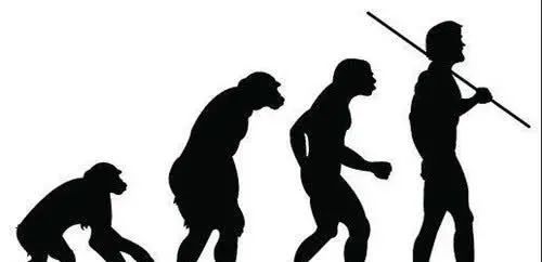 地球将出现第二人类文明？巴拿马猴已学会石器生活，引科学界担忧
