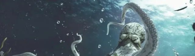 章鱼应该来自外星？科学家研究表明，这个怀疑或许是对的！