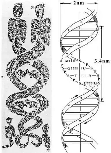 沙漠出土千年文物，描绘了女娲伏羲“交尾”，专家：居然是DNA