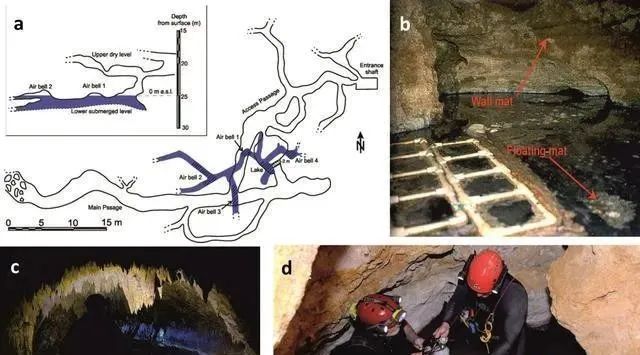 打开500万年前的洞穴，科学家看到“外星世界”，颠覆生命认知！
