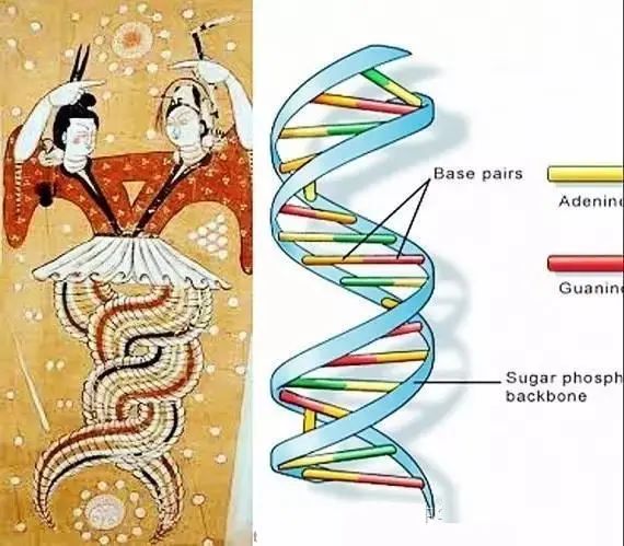沙漠出土千年文物，描绘了女娲伏羲“交尾”，专家：居然是DNA