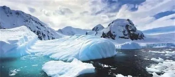 南极冰川下900米处发现全新物种，科学家：他们才是地球原住民？