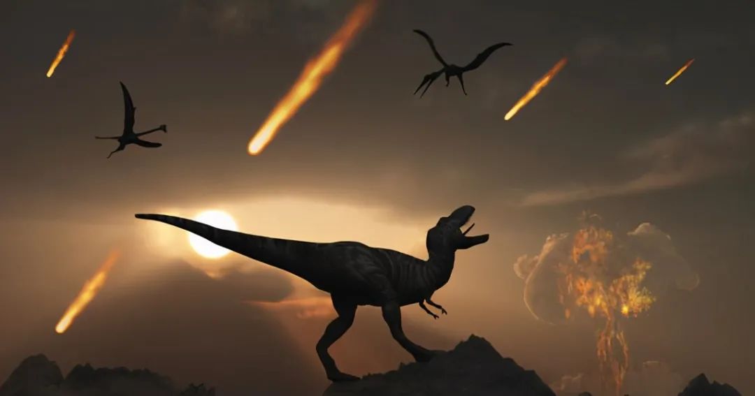 恐龙早已被“花草”带向万劫不复，小行星：我只是捡了个人头