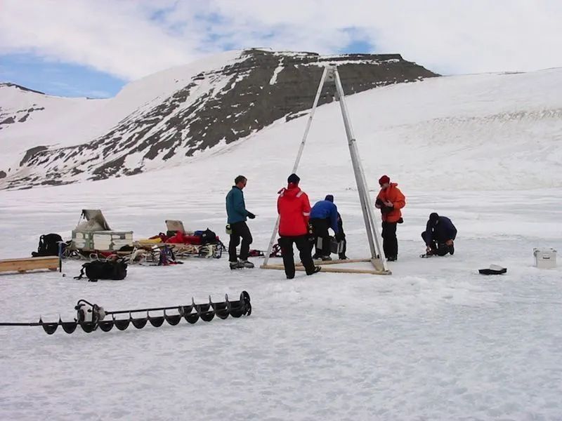 南极900米厚冰层下新发现奇特生物，生存方式未知，其寿命极长