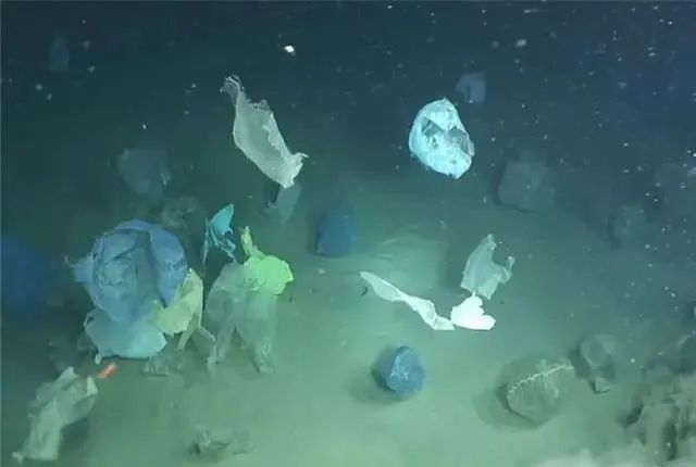 3850米深海有新发现，地球原来早已面目全非，人类该警醒了！