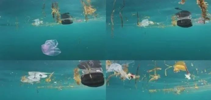 人类正在走向毁灭？深海发现神秘物质，科学家说它不应该出现！