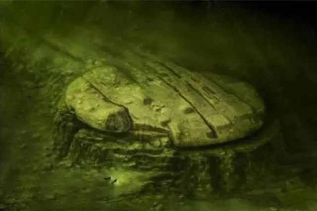 海底发现直径60米的圆盘，距今14万年，疑似外星飞船！