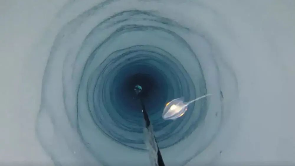 南极900米厚冰层下新发现奇特生物，生存方式未知，其寿命极长
