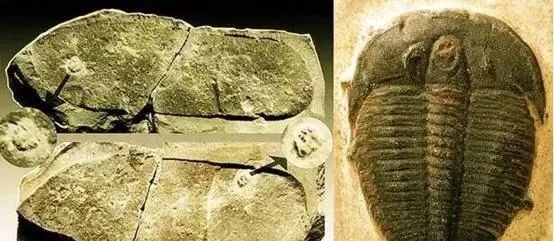 数亿年前的“人造物”频繁出现，难道史前文明真的存在？