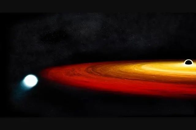 生存奇迹！发现一颗恒星，竟在黑洞中幸存下来，付出了什么代价？