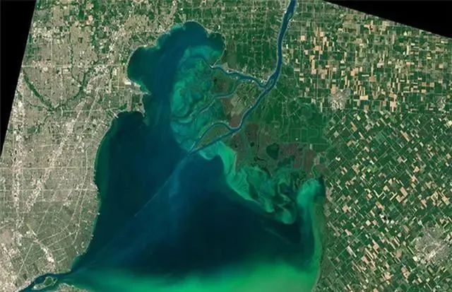 美国卫星新发现，地球正在变绿，可专家担心的问题也在发生！