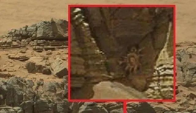 火星发现“水晶棺”，隐约可见里面的物体，专家：不要去唤醒它！