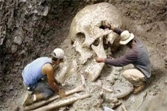 巨人族是否出现过？世界各地发现的巨型遗骸，是怎么回事？