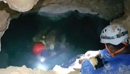 一次意外，让这个500万年前的洞穴被发现，里面藏着一群奇怪生物