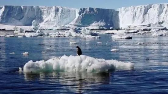 科学家不淡定了！在南极发现不该出现的东西？人类必须要警惕