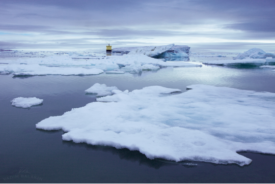 北极发现5.7万年前尸体，科学家：这不是最糟糕的，地球危险了？