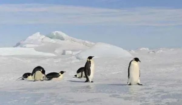 科学家在南极发现外星生命，凿穿8百米冰层，地下景象让人震惊！