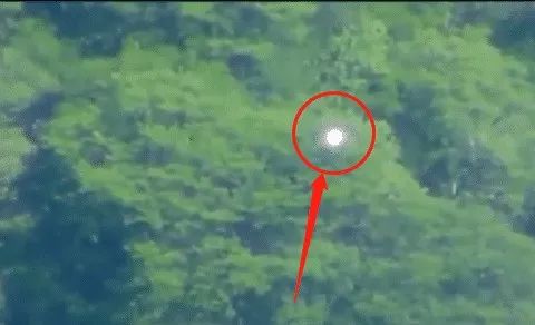 “不明飞行物”？奇怪发光球在墨西哥森林上空盘旋，暂时没法解释！
