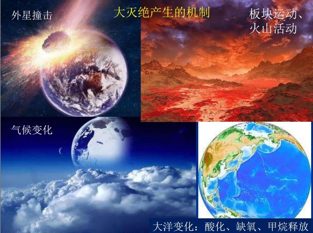 恐龙已经灭绝6500万年，第六次大灭绝或在发生，这次恰是人类