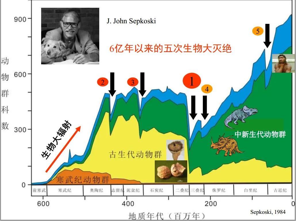 恐龙已经灭绝6500万年，第六次大灭绝或在发生，这次恰是人类