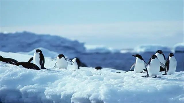 南极848米下，科学家发现“庞然大物”，或是远古时期的天外来客