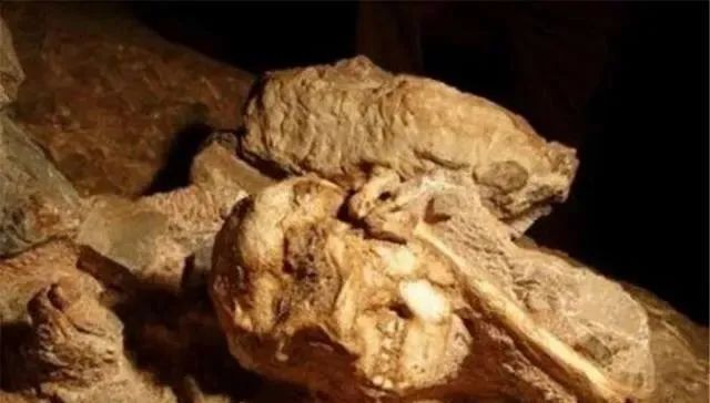 玛雅人最后的踪迹找到了？科学家在水洞中，发现了2具遗骸！