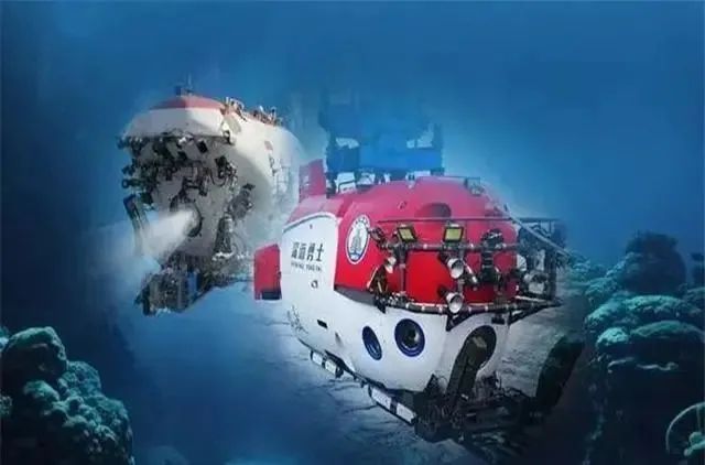 在6000米海底深处，科学家发现新物种，细看令人心生担忧！